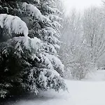 Ardenne Essentielle Bed & Breakfast