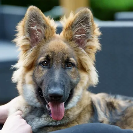 Ardenne Essentielle Daverdisse