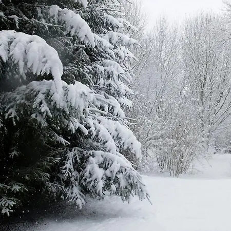 Ardenne Essentielle Bed & Breakfast