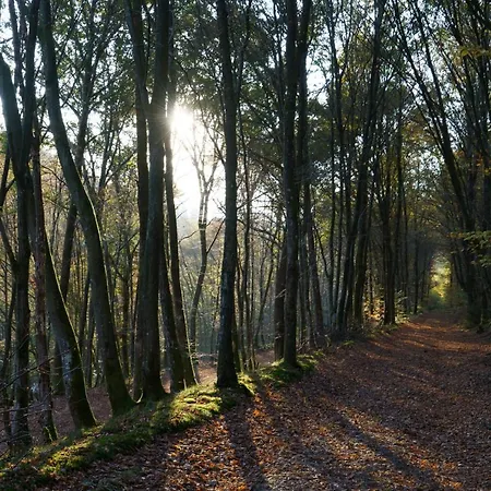 Ardenne Essentielle Bed & Breakfast 3*