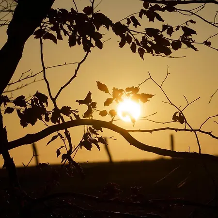 Ardenne Essentielle 3*