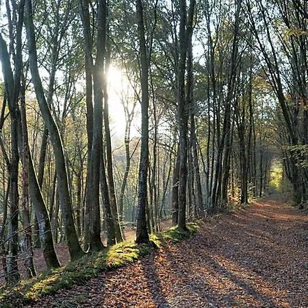 Ardenne Essentielle Daverdisse