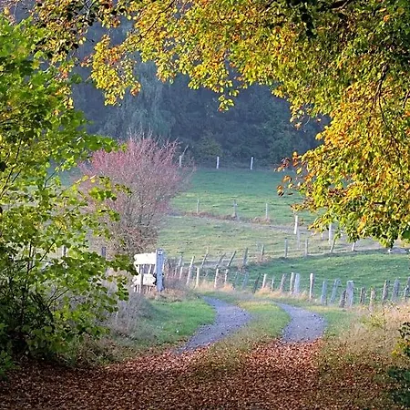 Bed and Breakfast Ardenne Essentielle Daverdisse