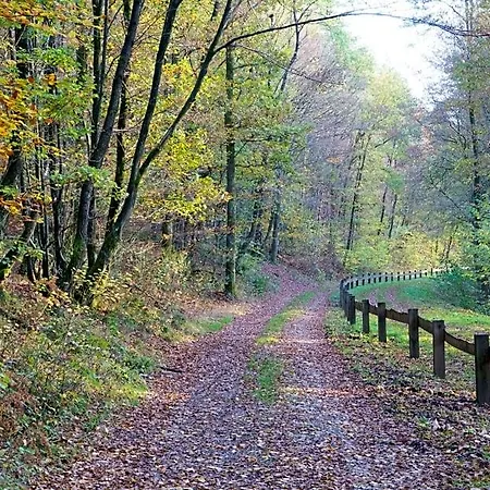 Panzió Ardenne Essentielle Daverdisse