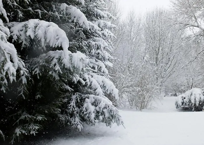 Ardenne Essentielle Frühstückspension