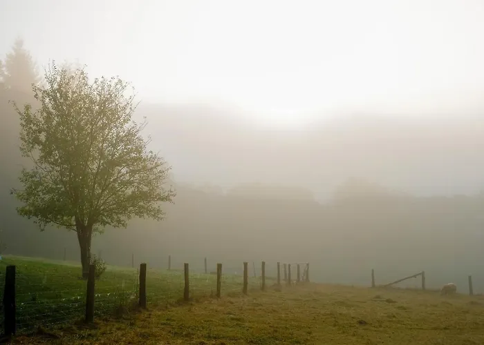 Ardenne Essentielle Frühstückspension Daverdisse