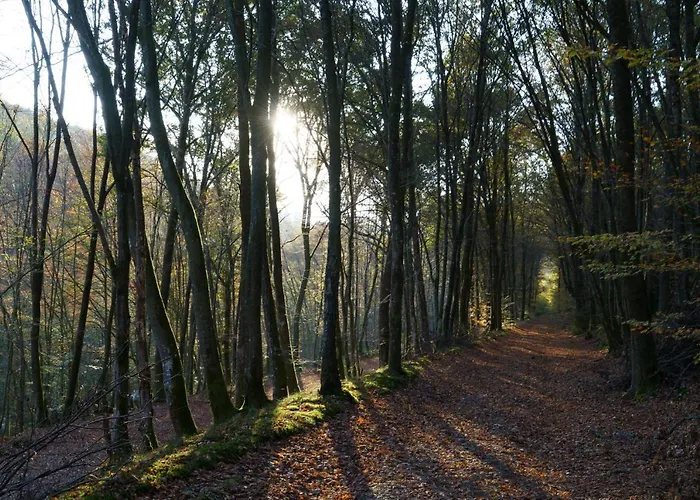 Ardenne Essentielle Frühstückspension 3*