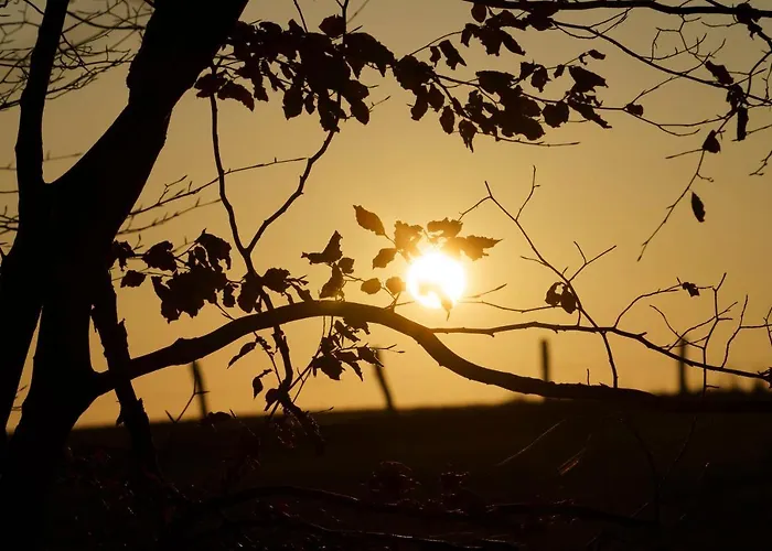 Ardenne Essentielle 3*