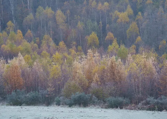 Ardenne Essentielle Frühstückspension